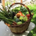 Mas Pineda Alojamento de Turismo Rural *