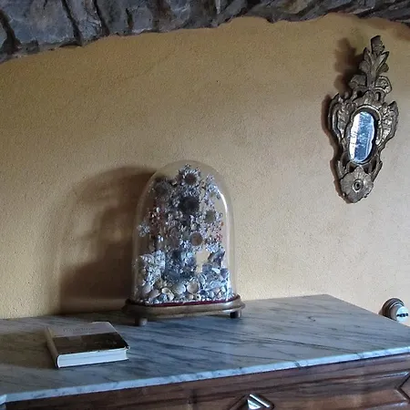 Mas Pineda